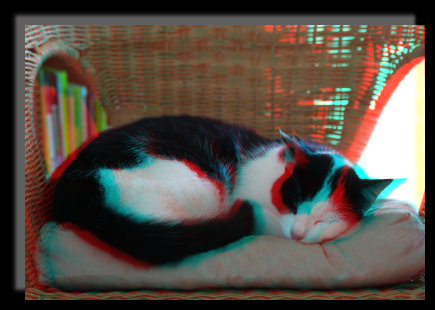 Gal3DKatze